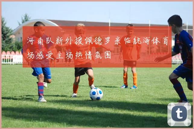 河南队新外援佩德罗亲临航海体育场感受主场热情氛围