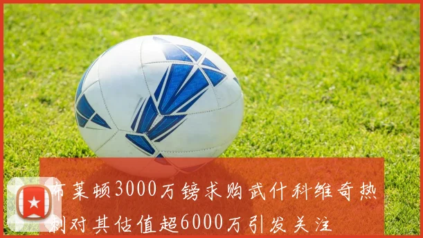 布莱顿3000万镑求购武什科维奇热刺对其估值超6000万引发关注